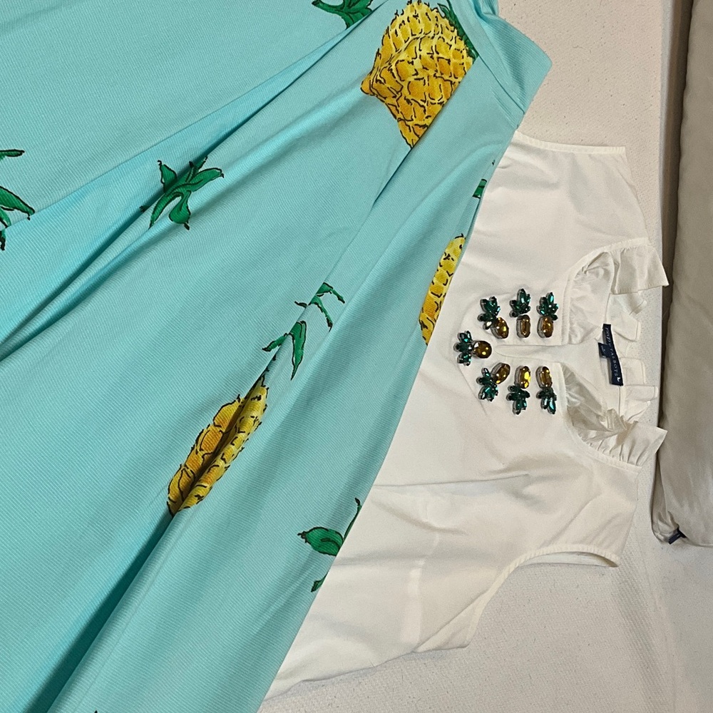 Talbots Blue A-Line Skirt with Pineapple Print